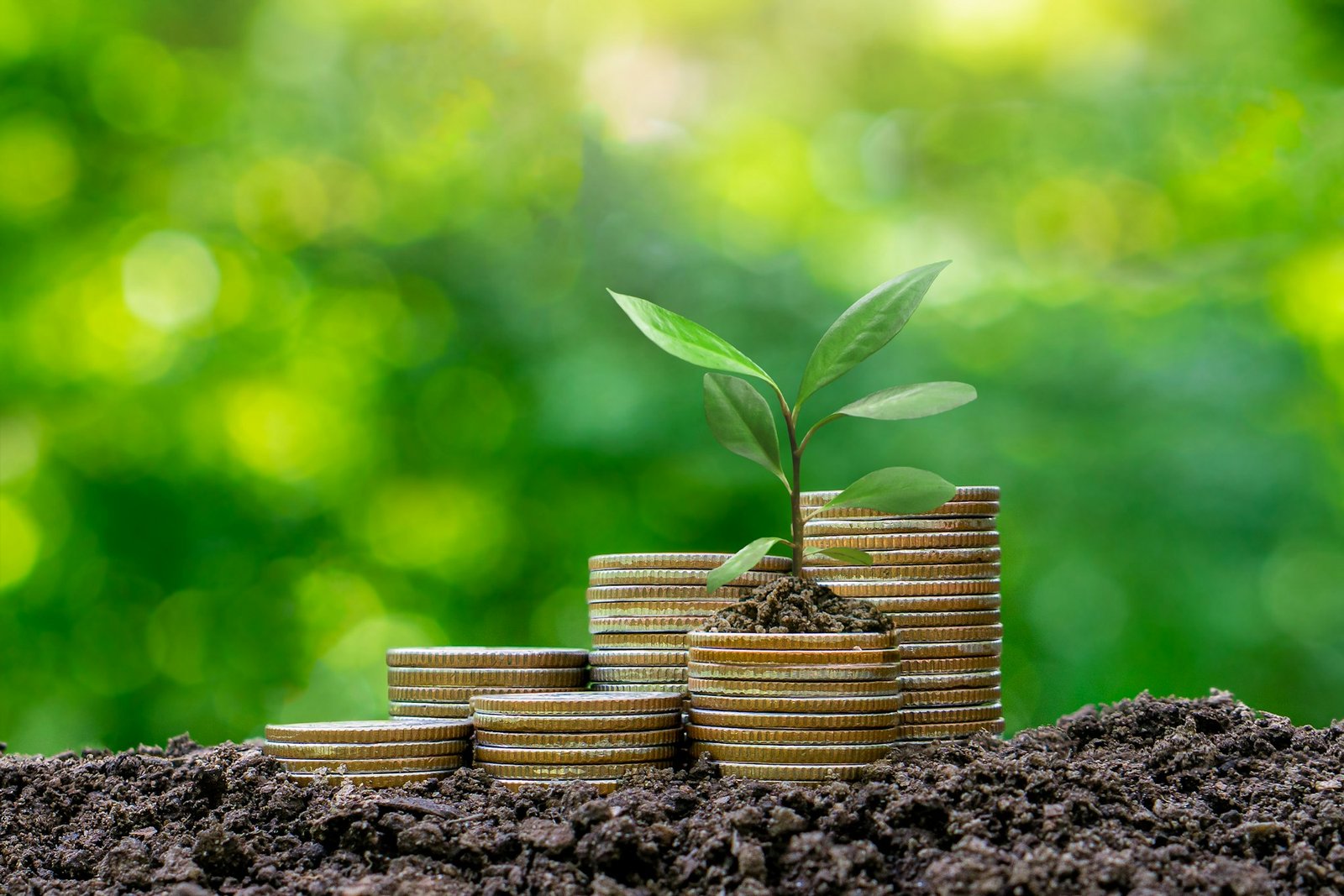 Money-saving,Growing Money,Finance And Investment concept.Plants growing up on stack coins.